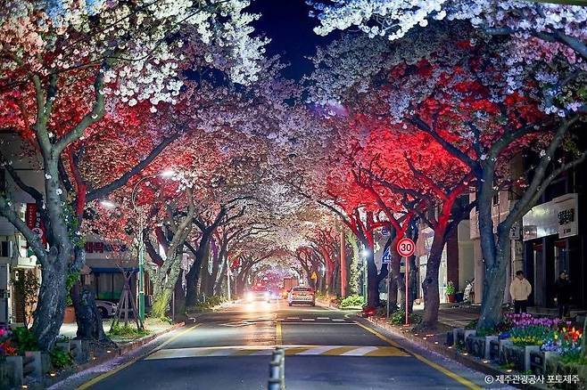 다운로드 (2).jpg