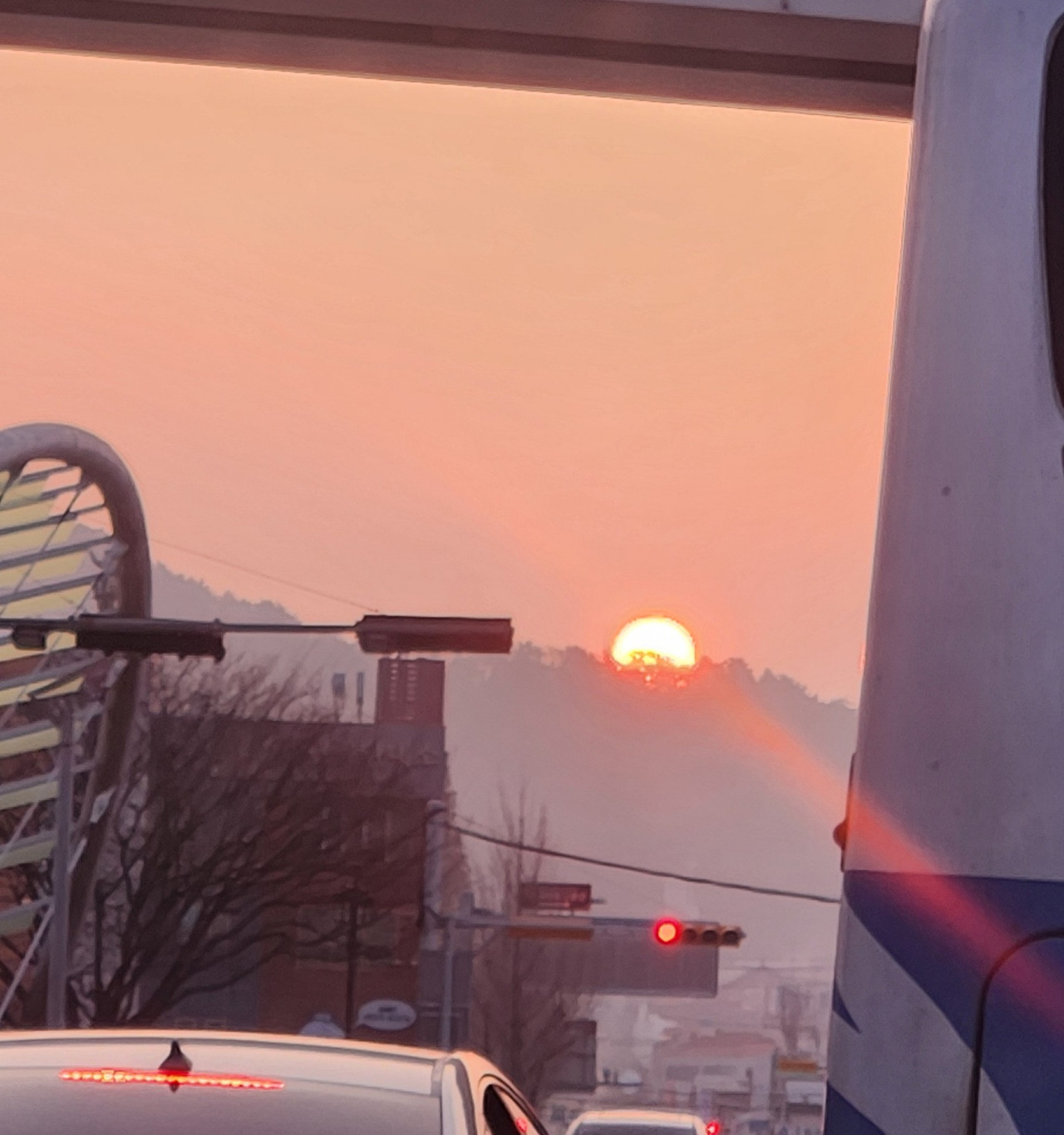 떠오르는 태양.jpg