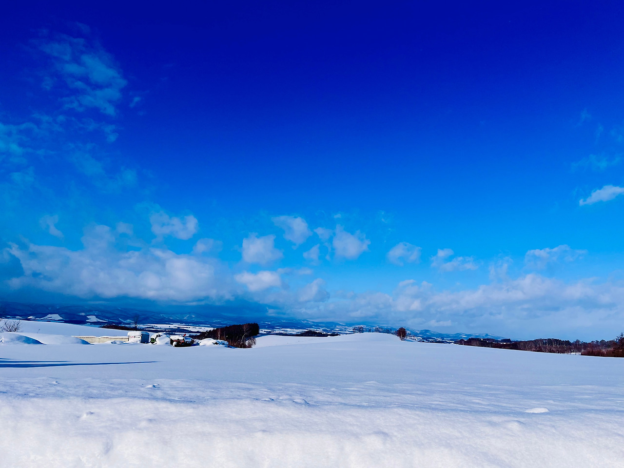 홋카이도 비에이 (40).jpg