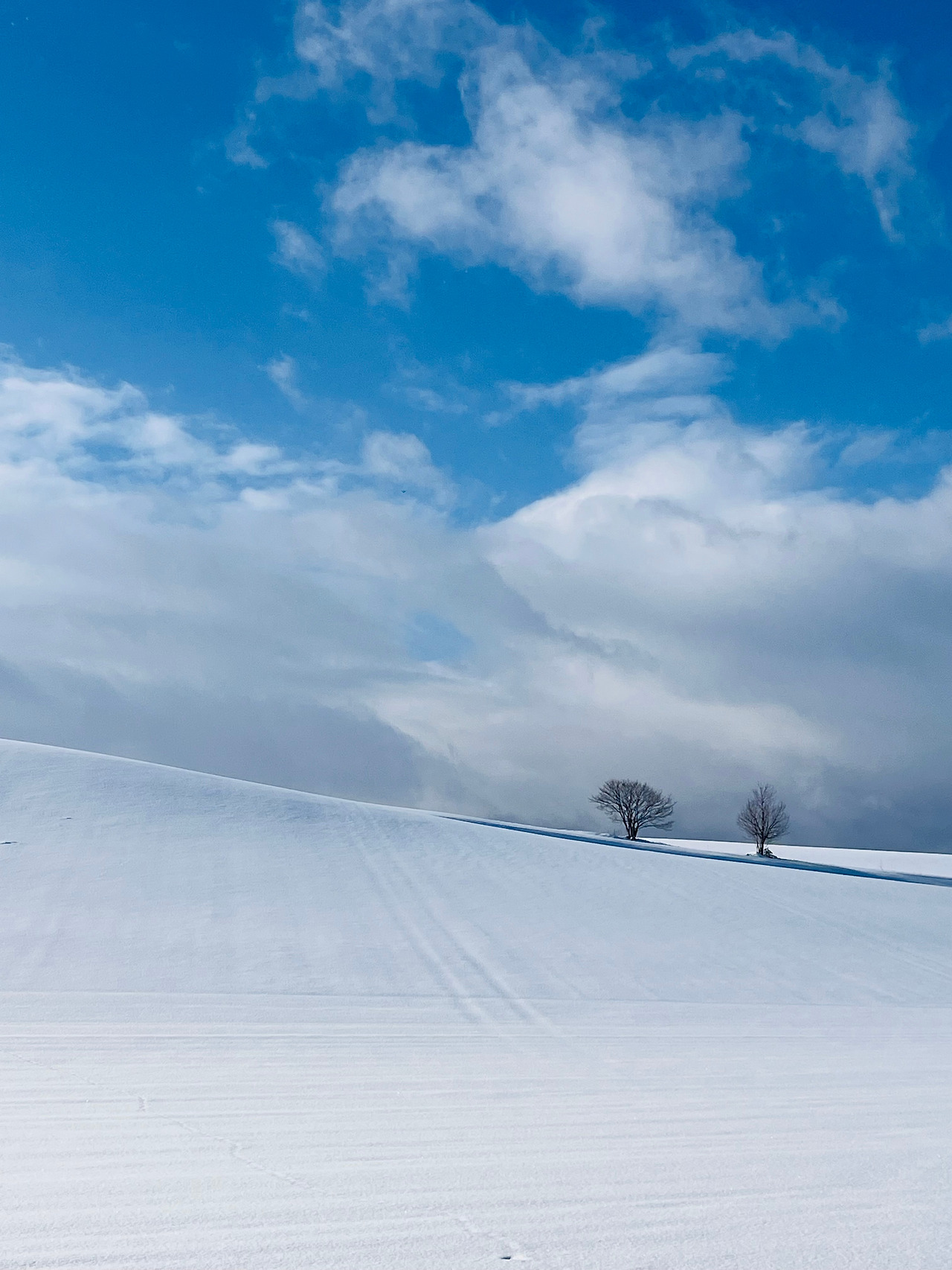 홋카이도 비에이 (1).jpg