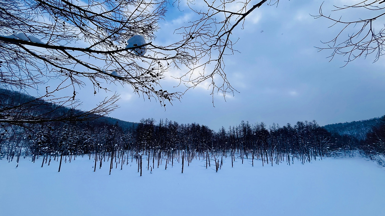 홋카이도 비에이 (39).jpg