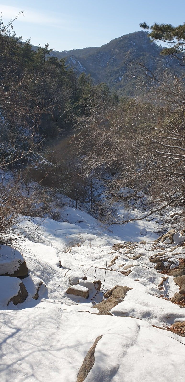 20260124_143720 (1).jpg