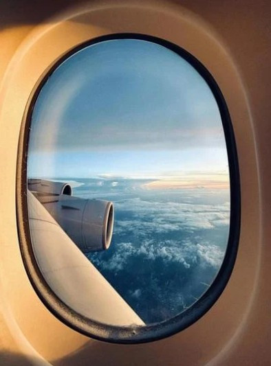 화면 캡처 2026-03-12 120455.jpg