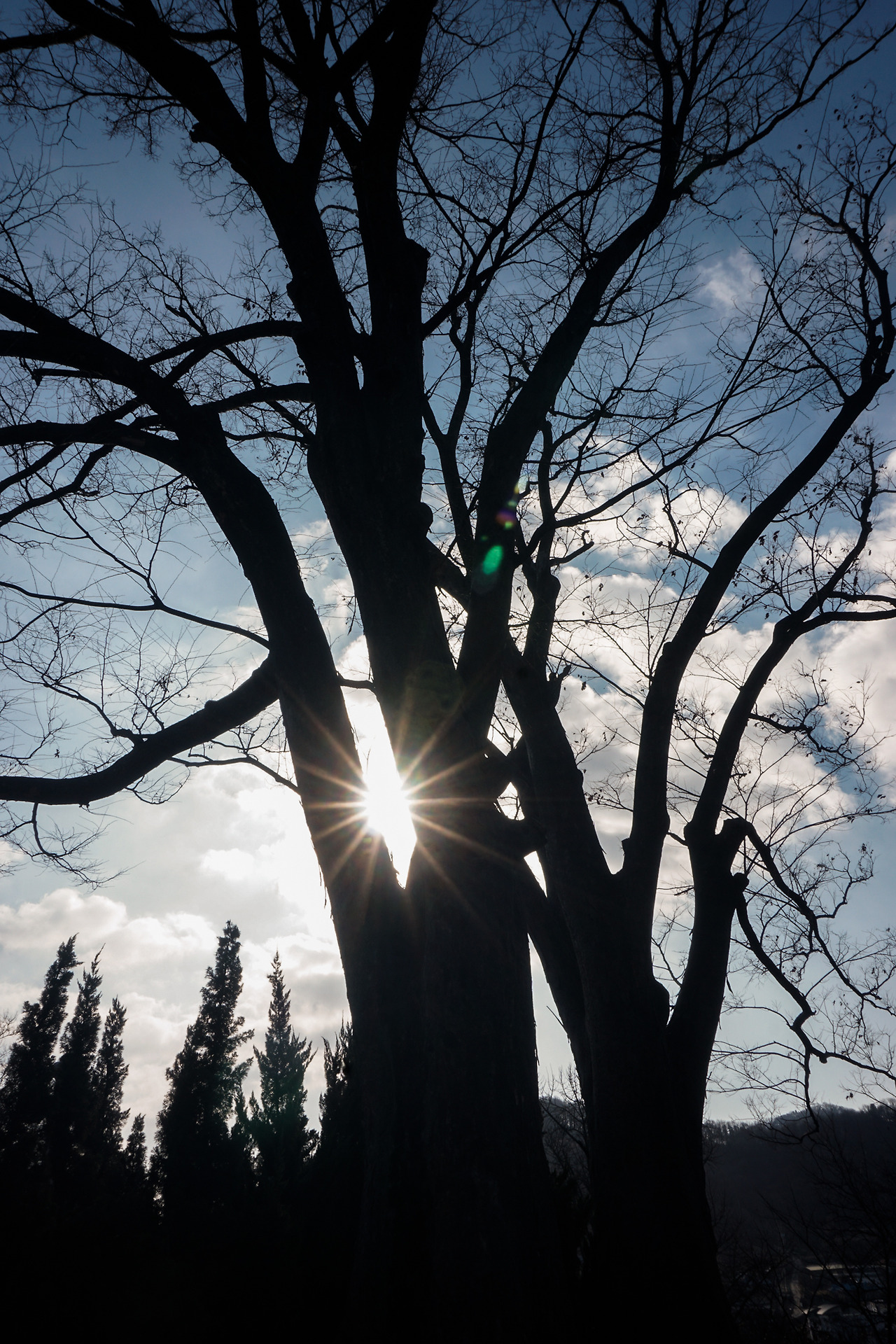 공세리성당 (12).jpg