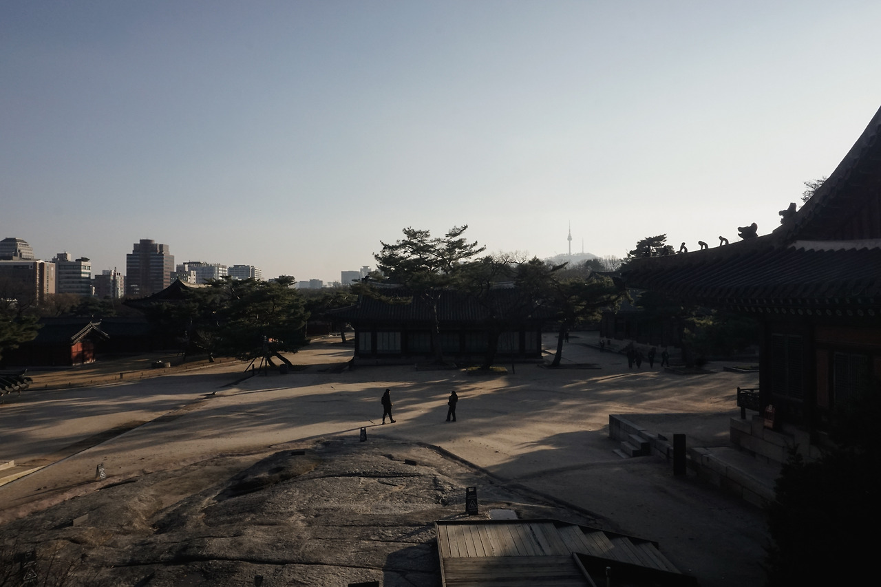 창경궁 (4).jpg