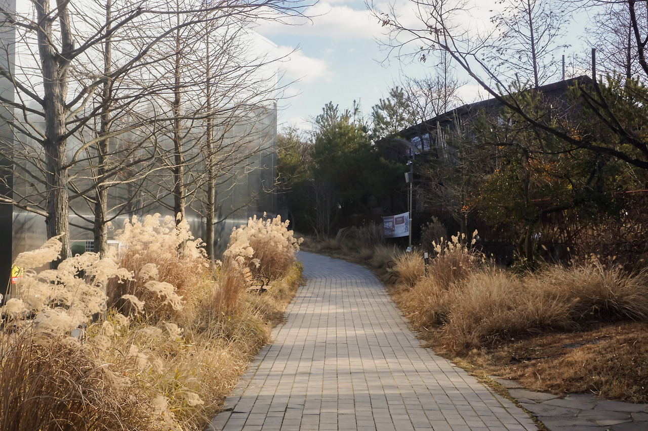 모나밸리 (4).jpg