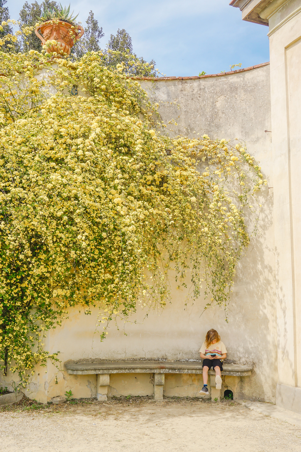 보볼리 정원 (1).jpg