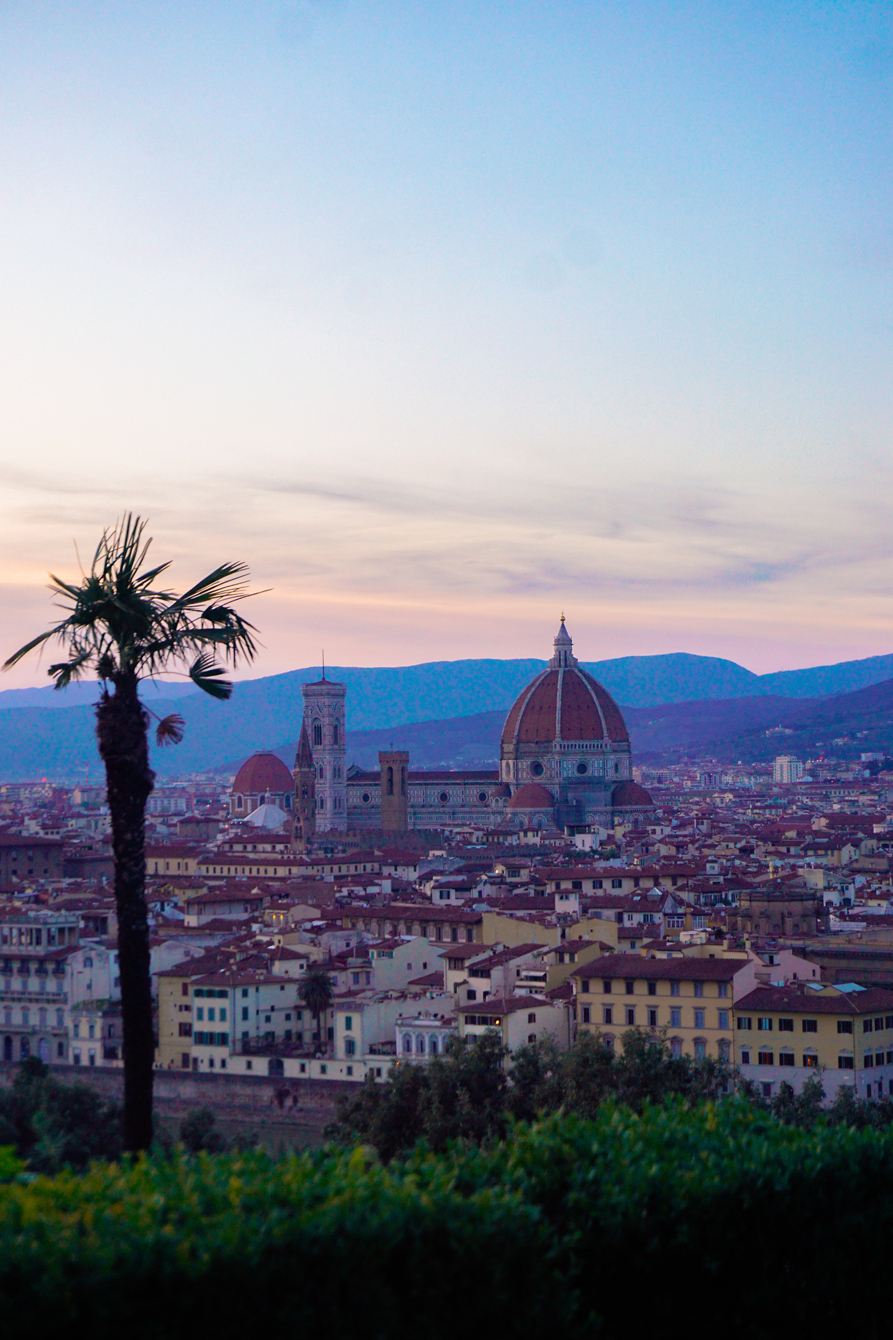 미켈란젤로 광장 (1).jpg