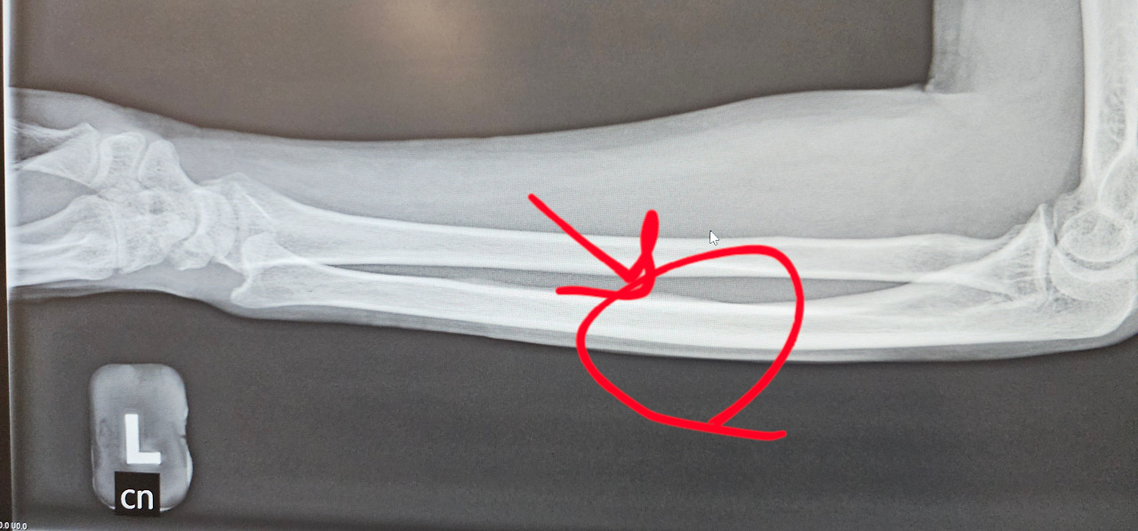 KakaoTalk_20260415_174704371_03 (1).jpg