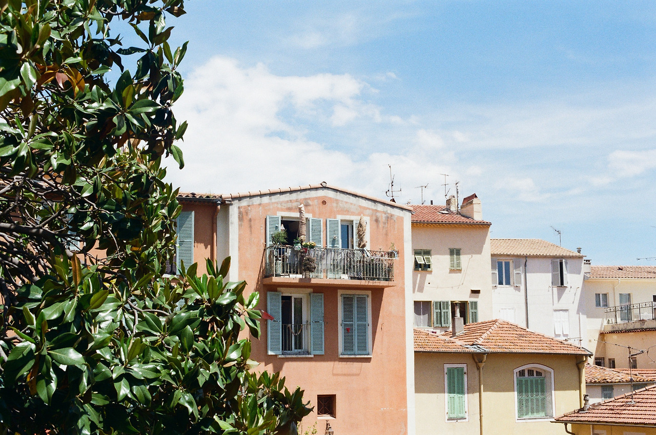 day2-4 000024100023.jpg