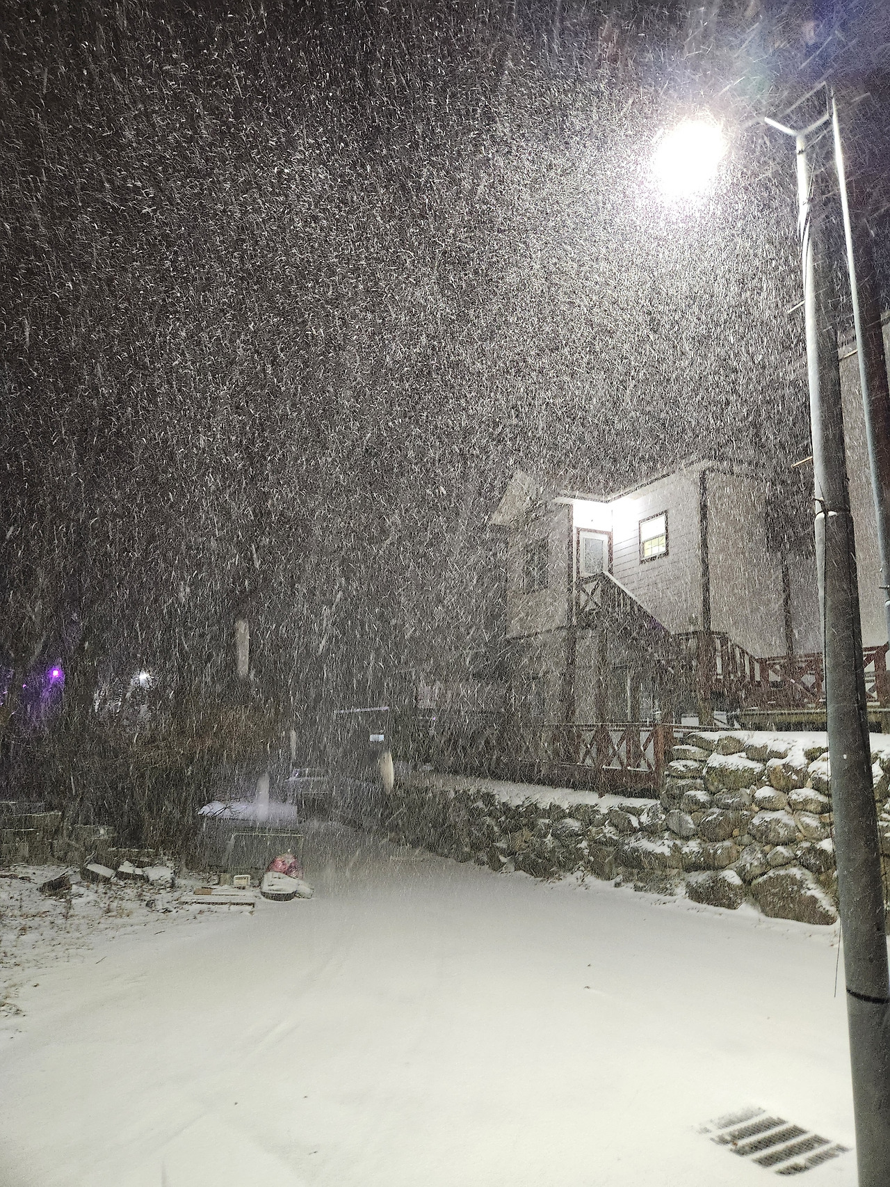 20260110_가로등 밑 눈보라2.jpg