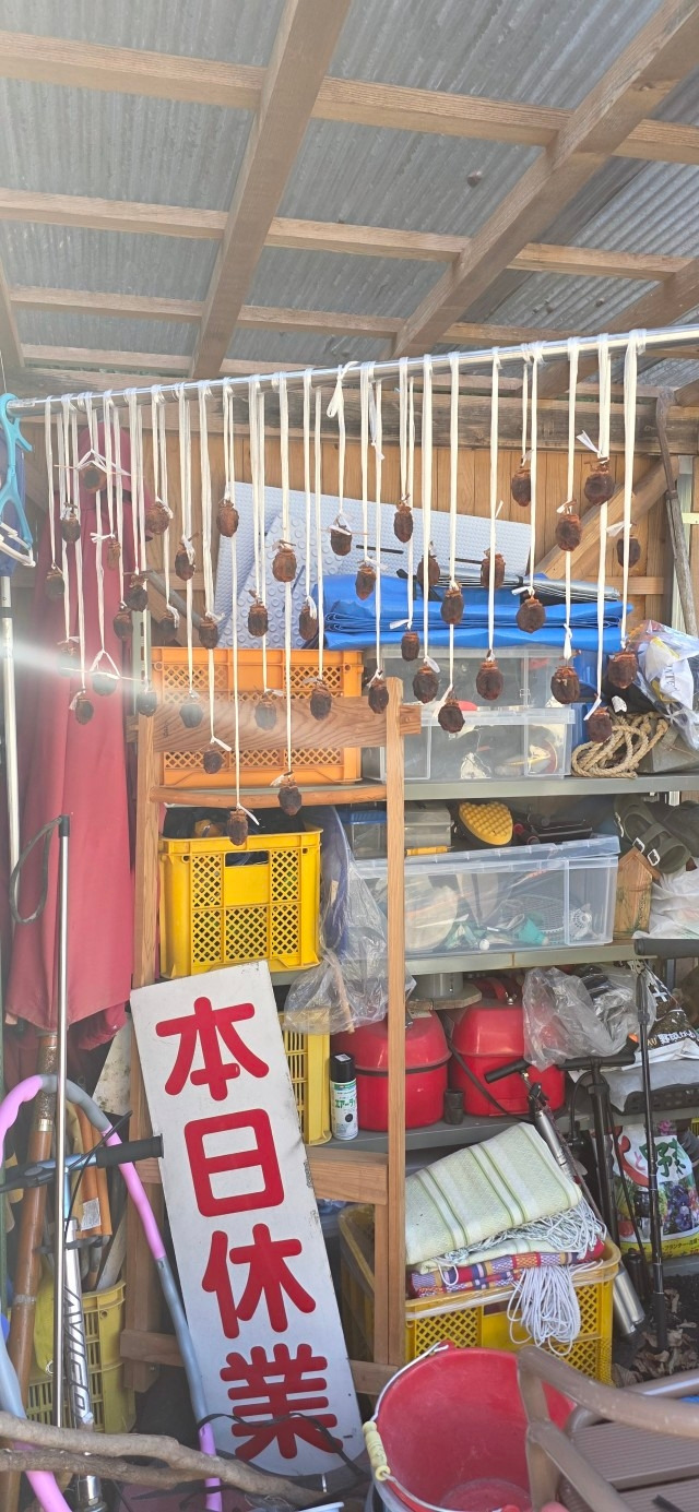 일본 우마지촌 탐방-20260112방문사진-우지호-74939283082.jpg