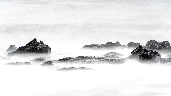 DSC09833 copy - 복사본.jpg