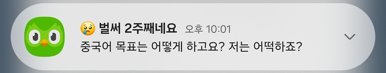 Screenshot_20251107_085443_One UI Home.jpg