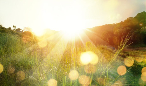 다운로드 (2).jpg