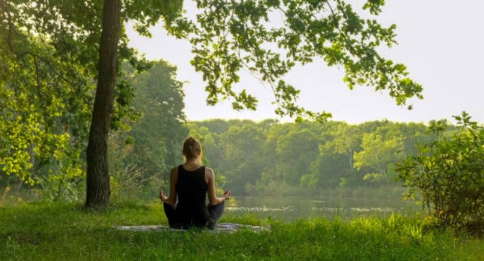 다운로드 (1).jpg