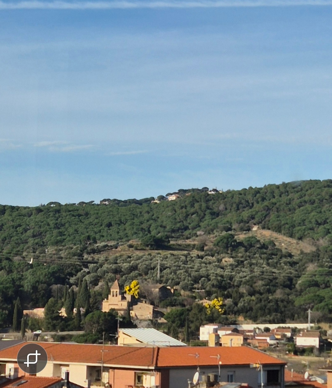 미모사 마을.jpg