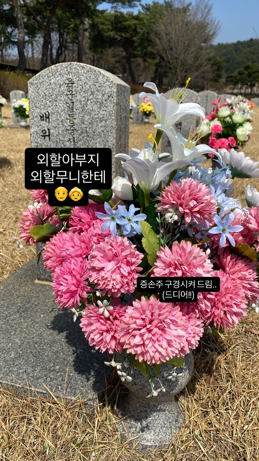 20260328_040039949_iOS 1.jpg