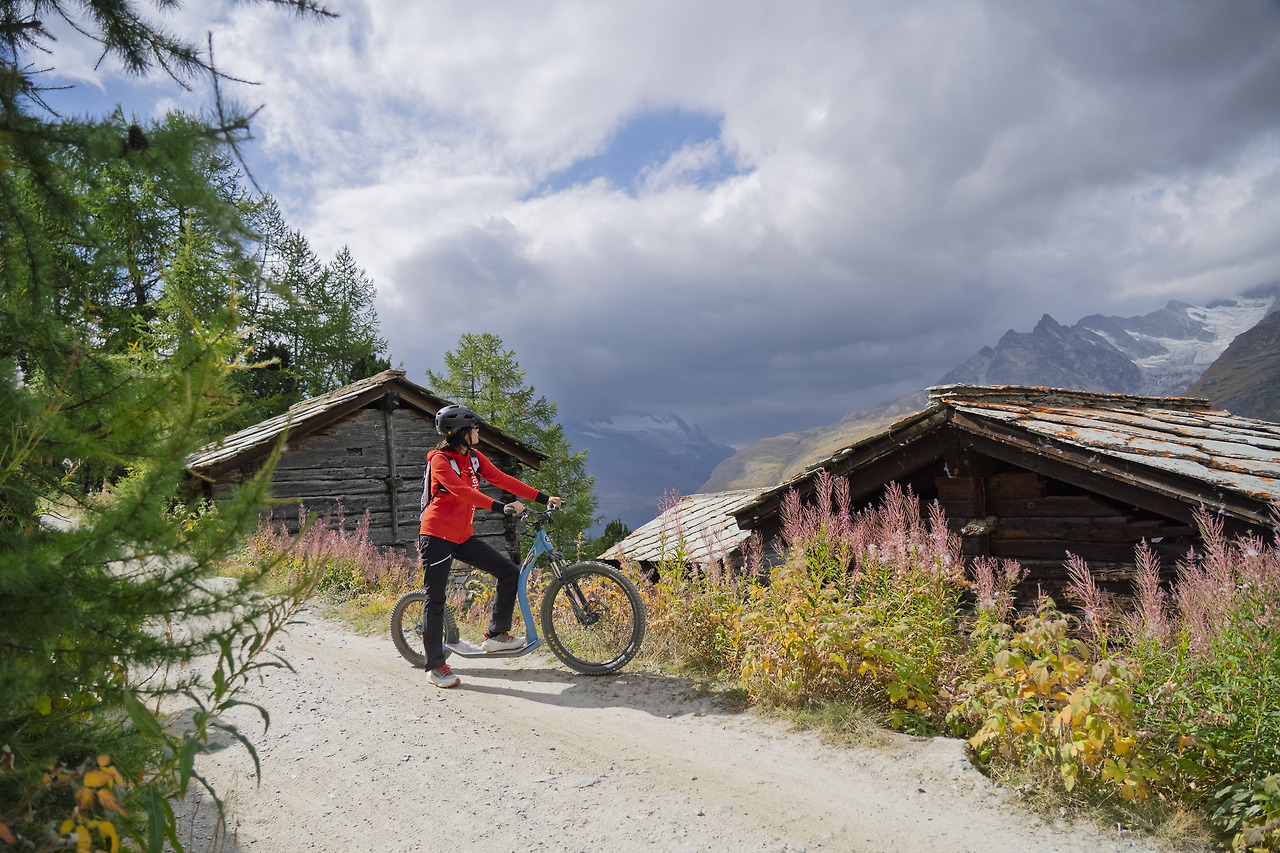 수네가 킥바이크_2.jpg