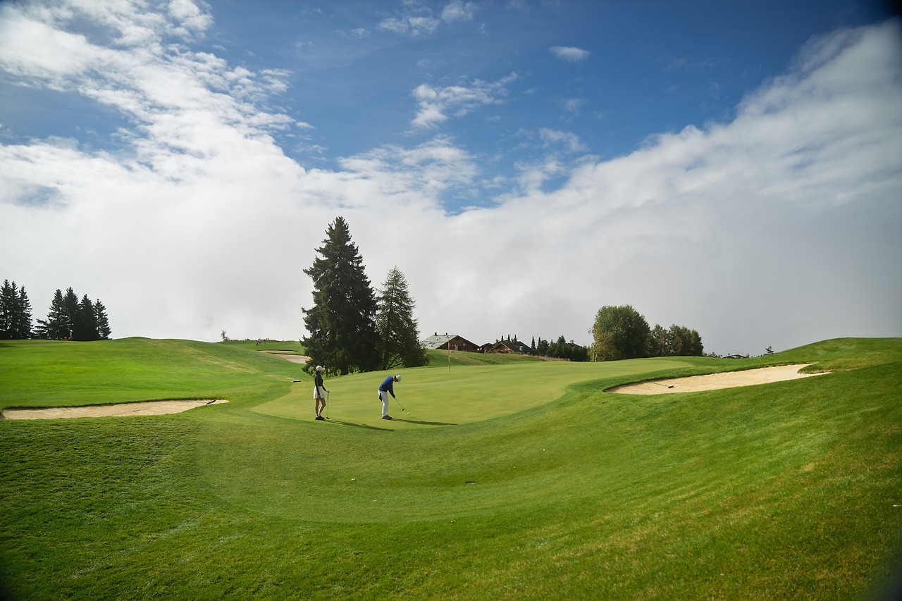 안데르마트 골프_10.jpg