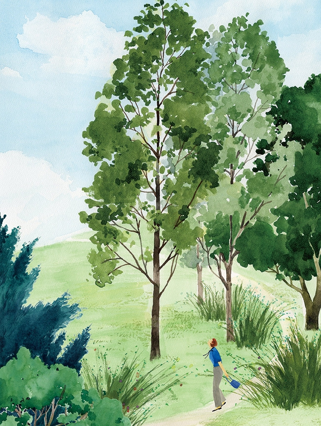 rgb 72dpi 230x305mm summer.jpg