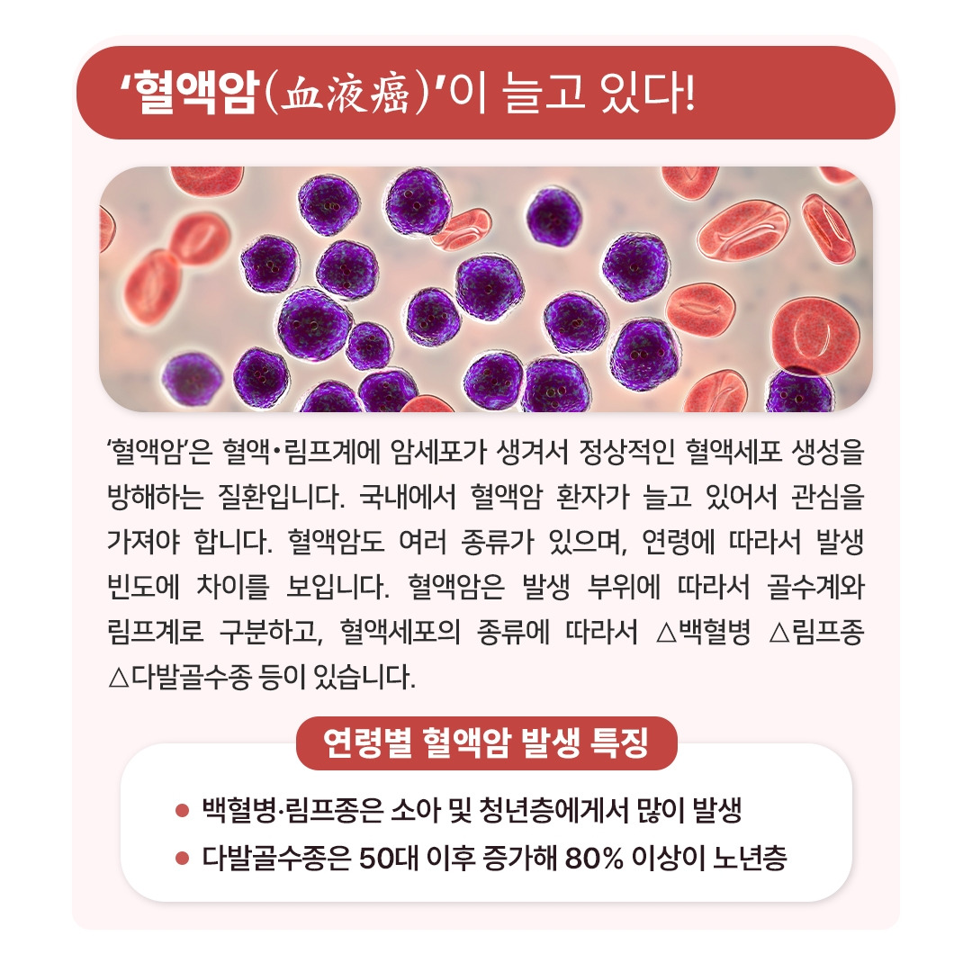 혈액암_02.jpg