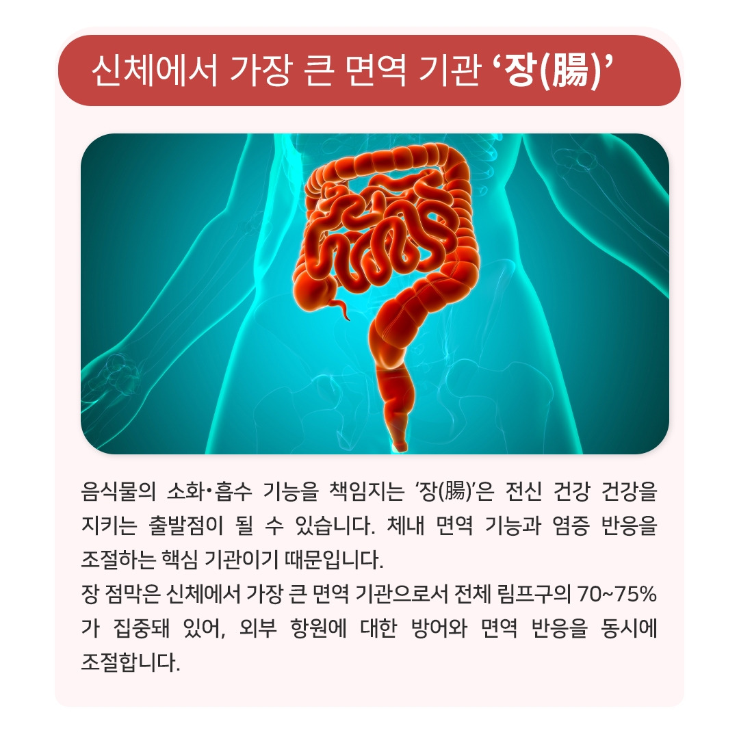 장건강_02.jpg