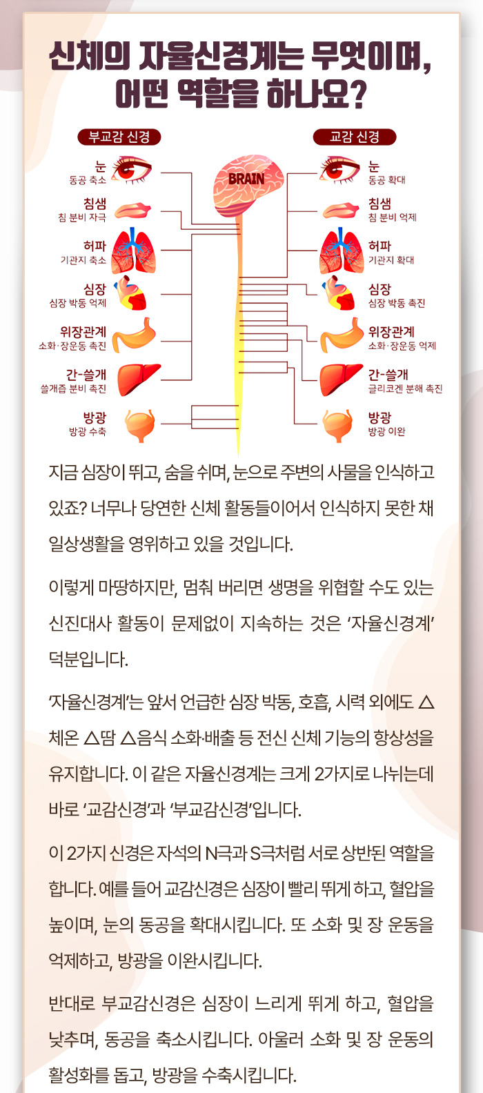 자율신경실조증_00_03.jpg
