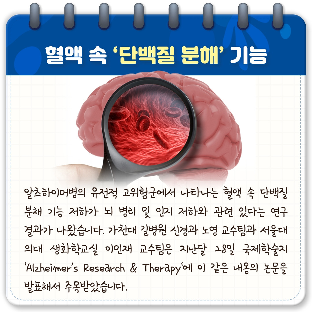 알츠하이머_03.jpg