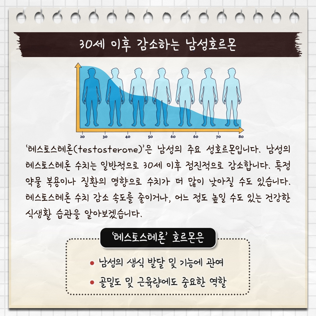 남성호르몬_02.jpg