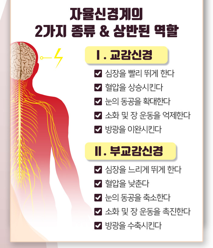 자율신경실조증_00_04.jpg