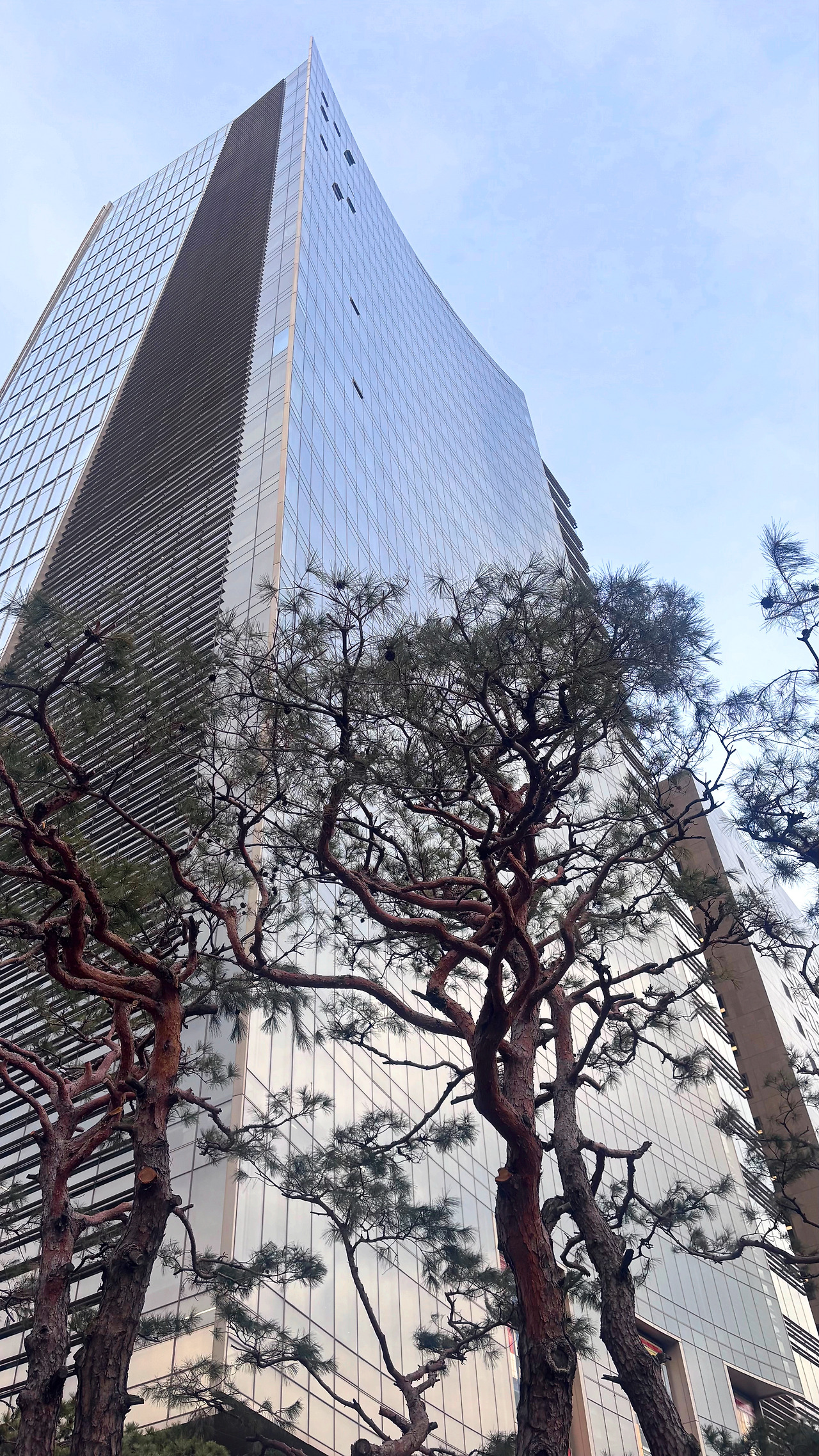 빌딩과 나무.jpg