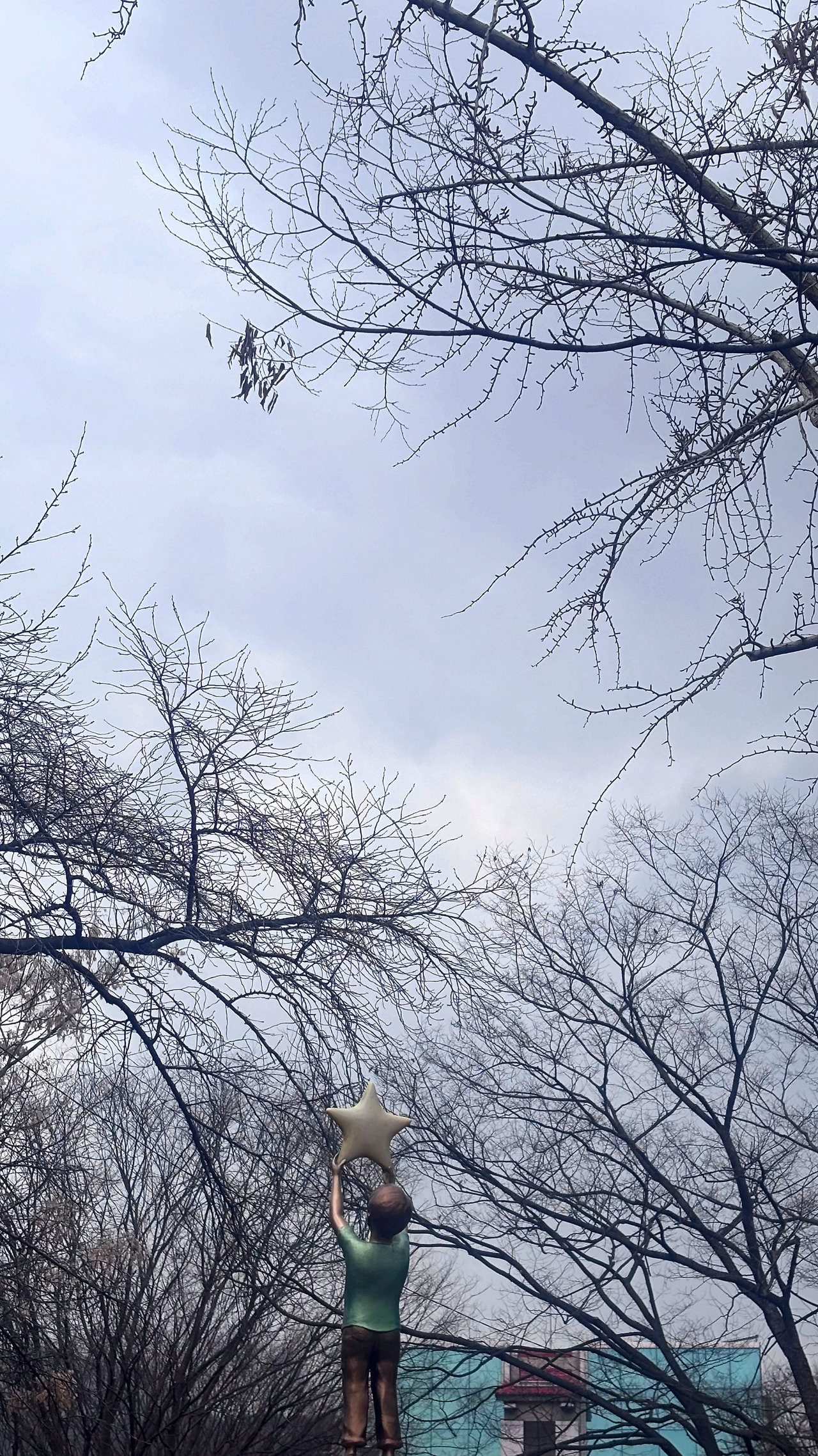 아카바의 별1.jpg