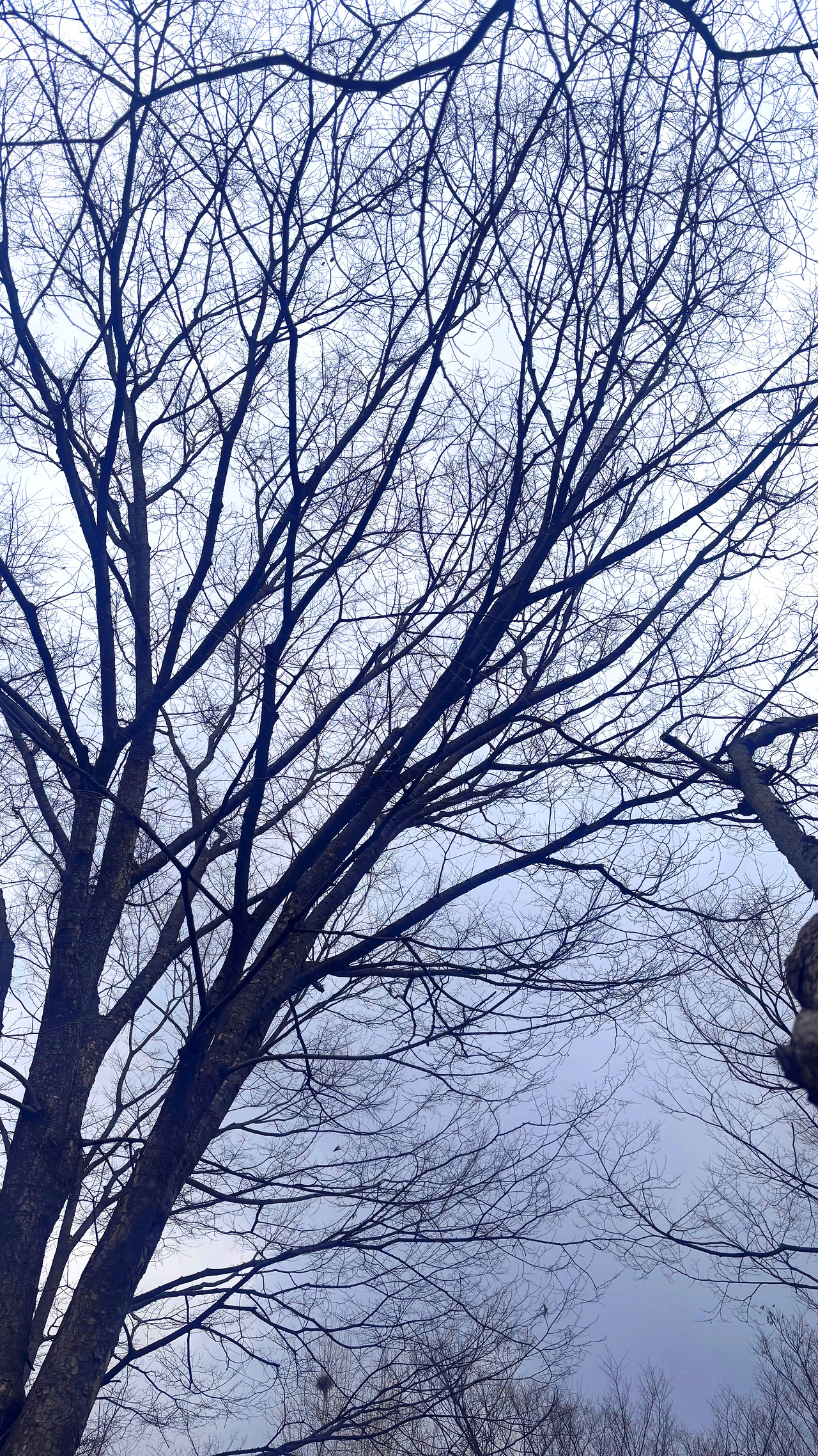 아카바의 별4.jpg