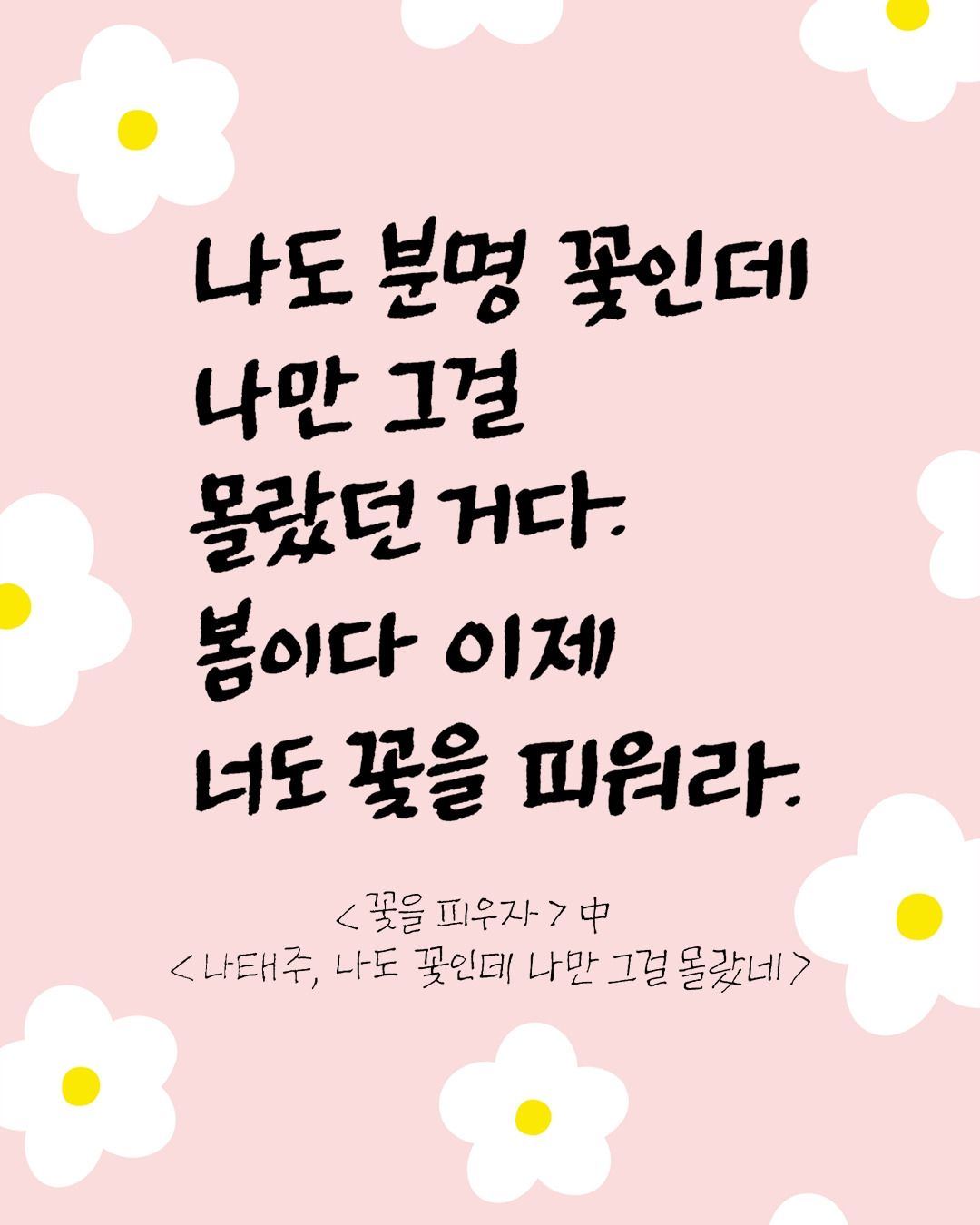 나도 꽃인데 나만 그걸 몰랐네.jpg