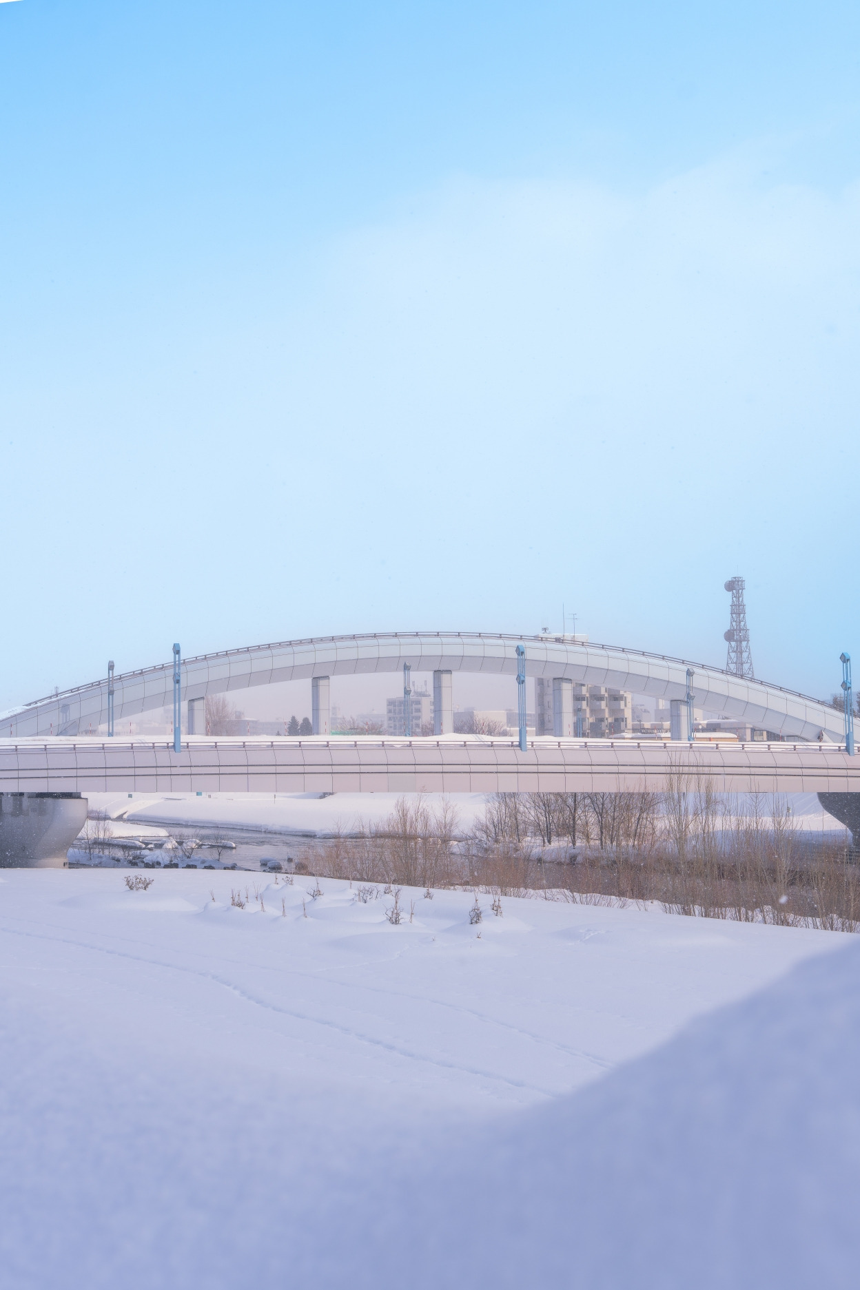 [크기변환]나카지마공원 호로히라 다리-03.jpg