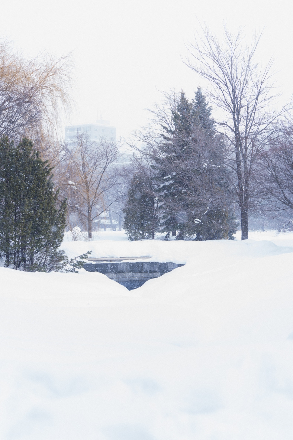 [크기변환]나카지마공원 호로히라 다리-12.jpg