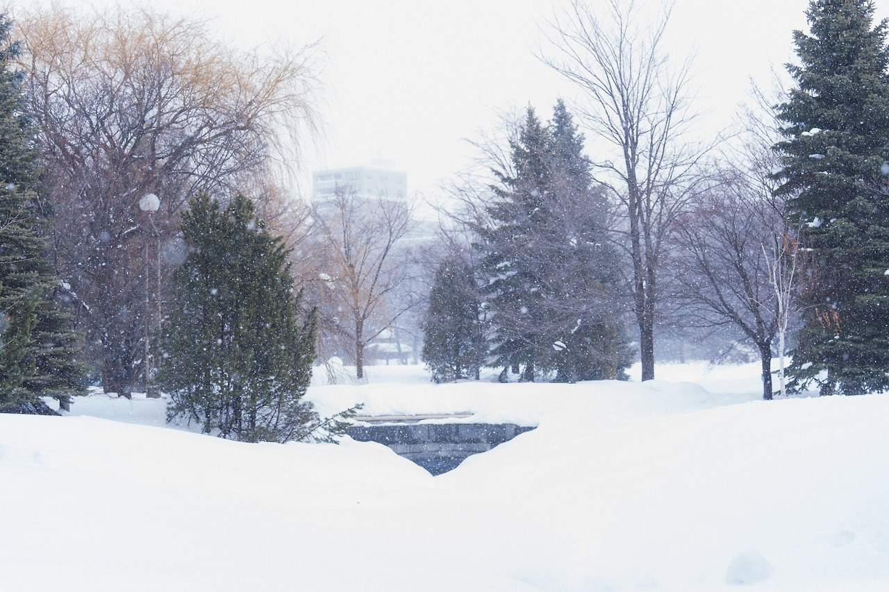 [크기변환]나카지마공원 호로히라 다리-13.jpg