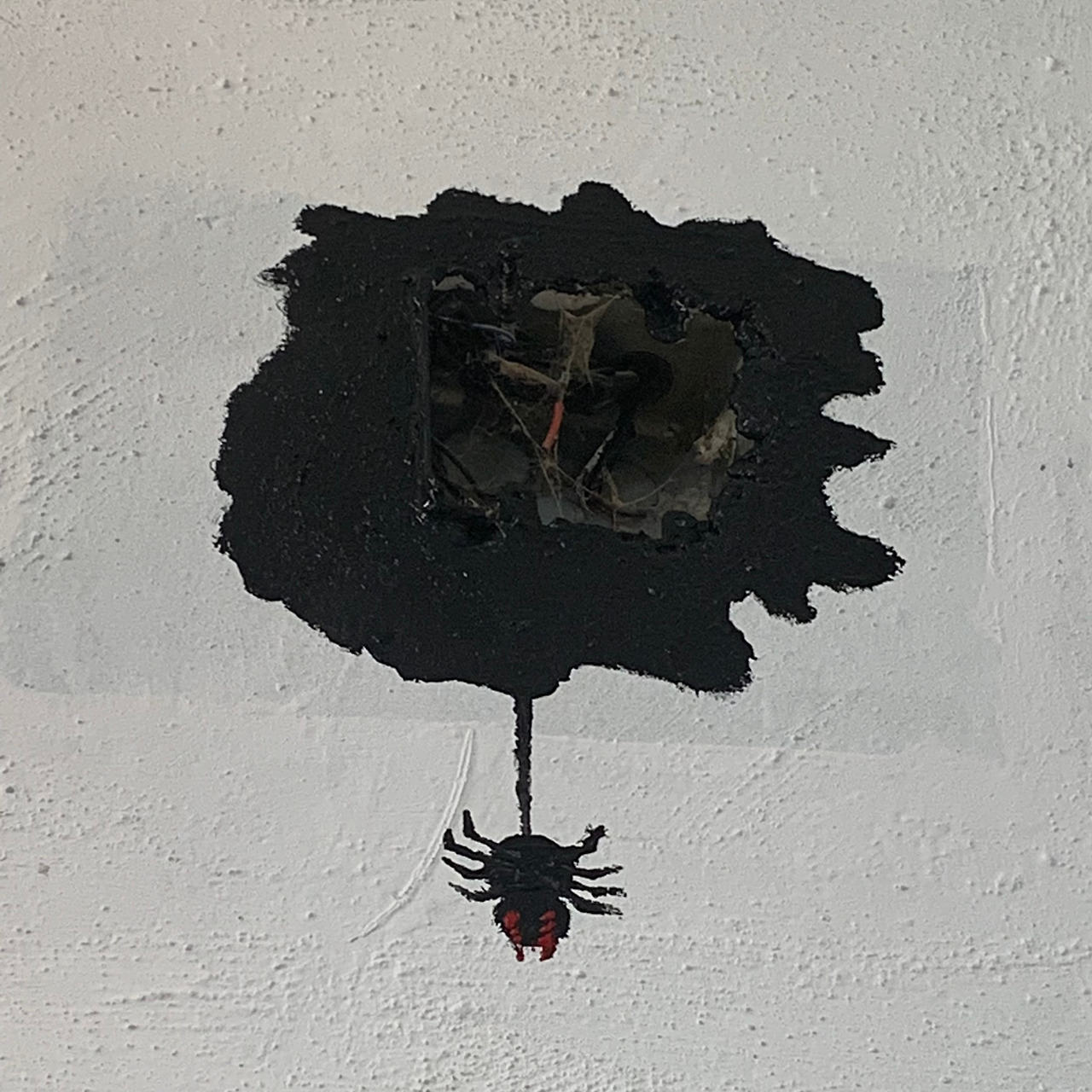 KakaoTalk_20260220_122840016_09 (1).jpg