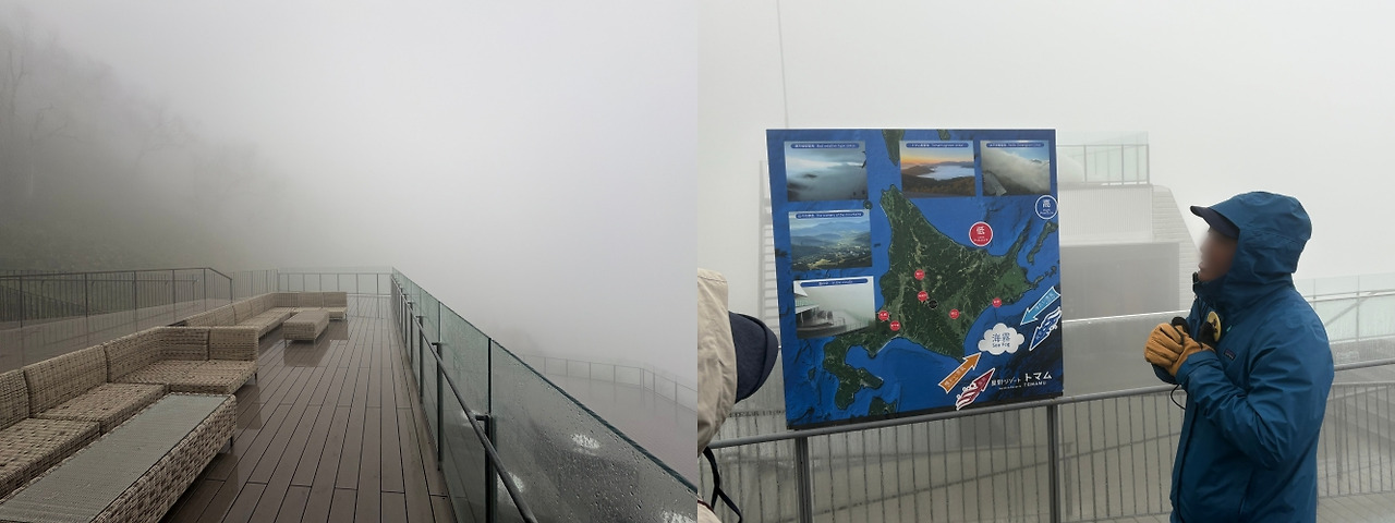 batch_IMG_3743 2-side.jpg