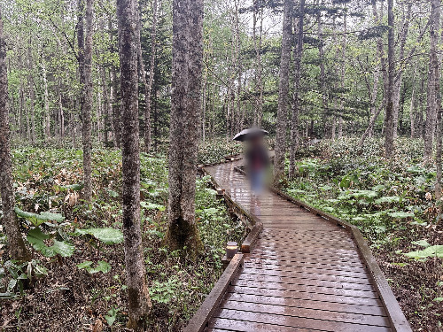 batch_IMG_3736 2.jpg