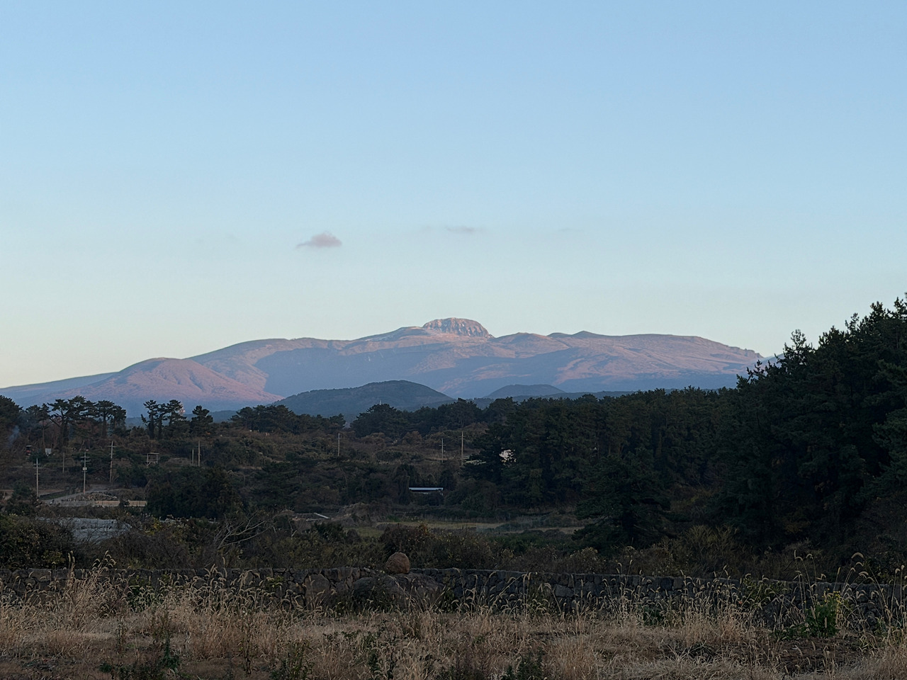 제주사진 (4).jpg