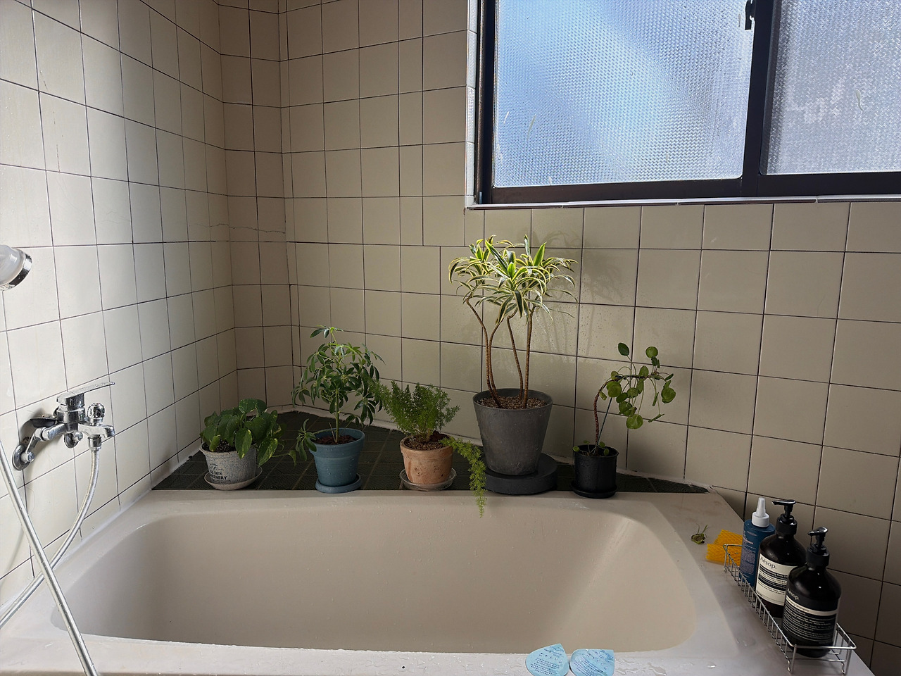 제주사진 (6).jpg