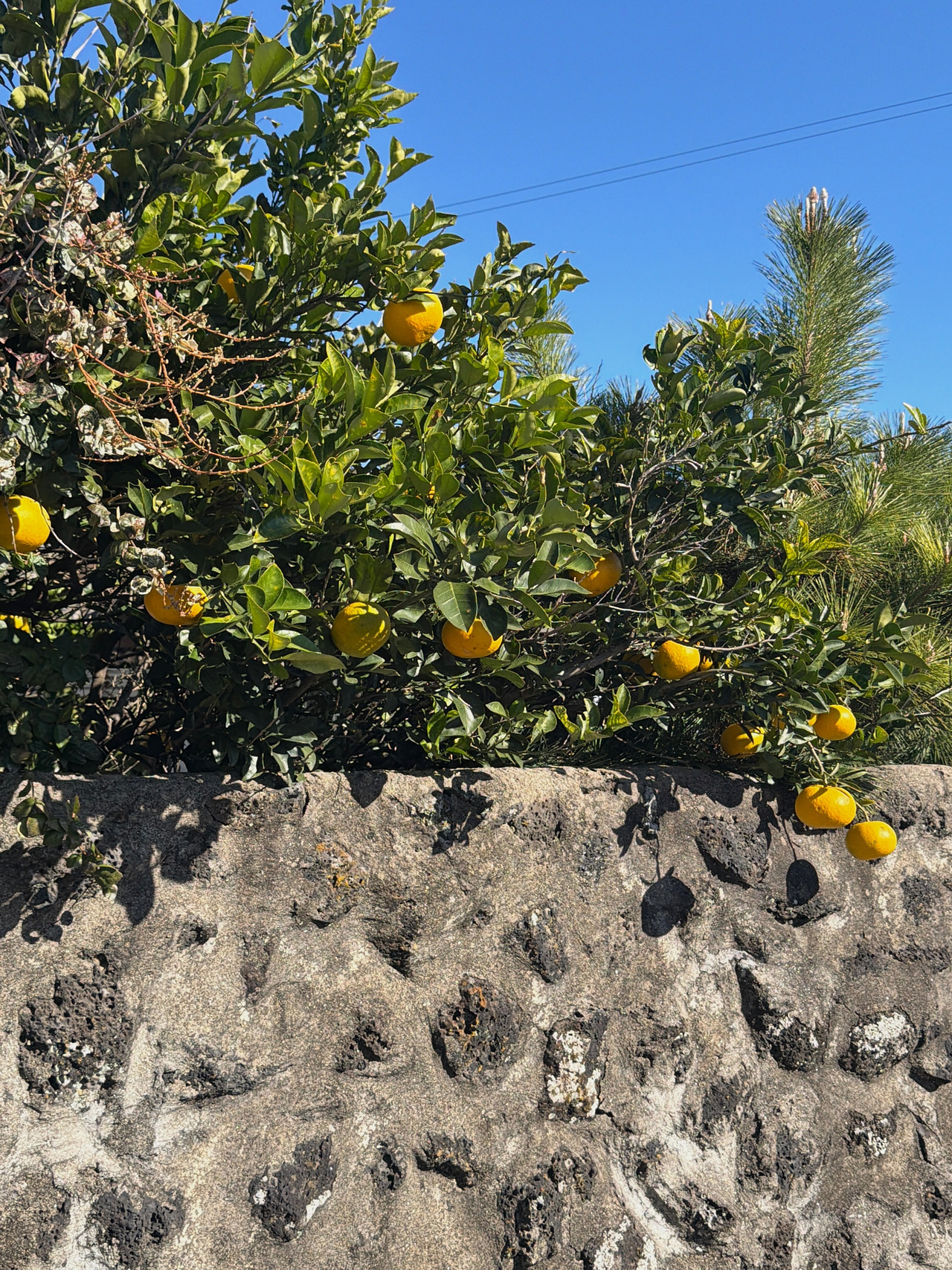 제주사진 (3).jpg