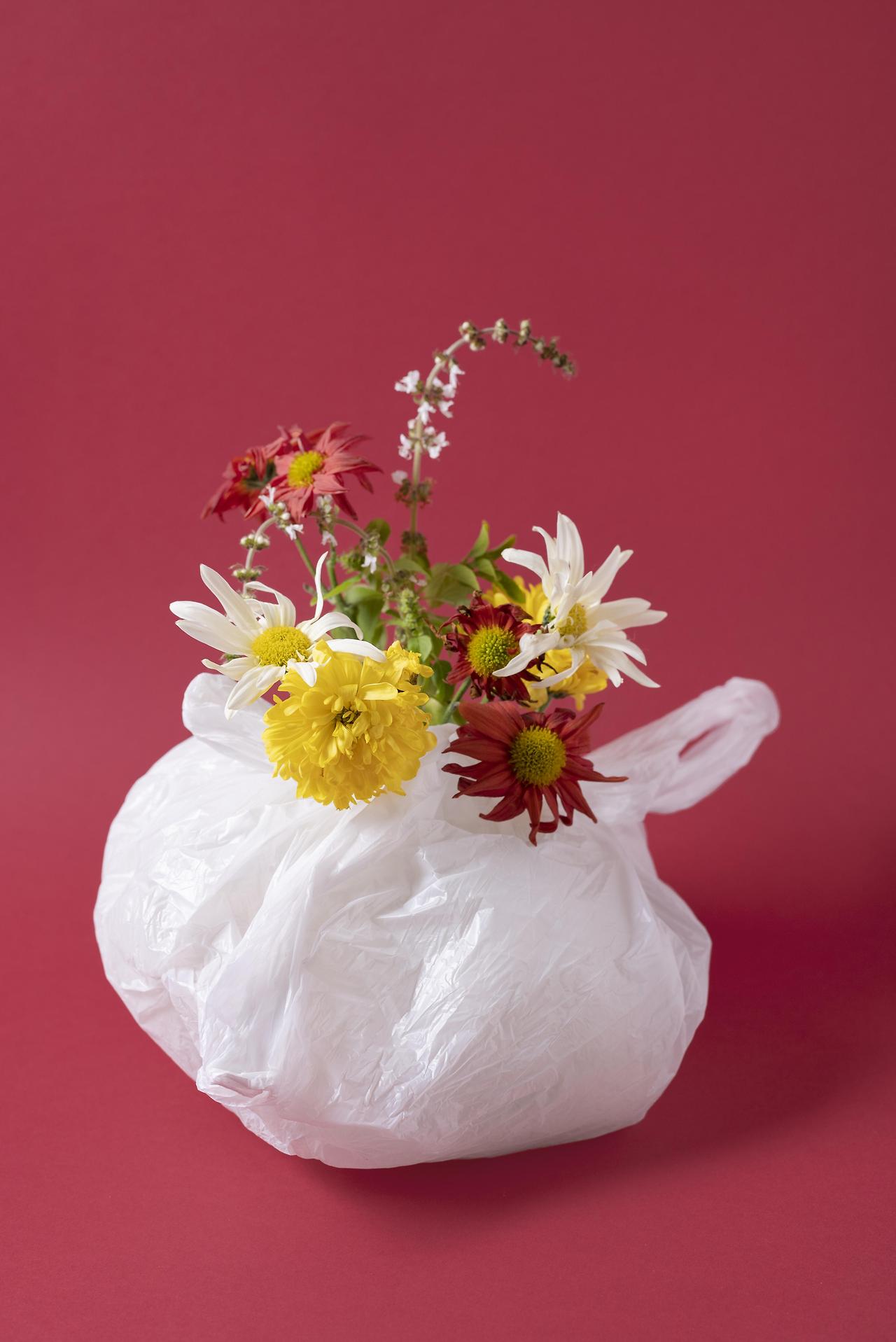 pollution-concept-plastic-waste (1).jpg