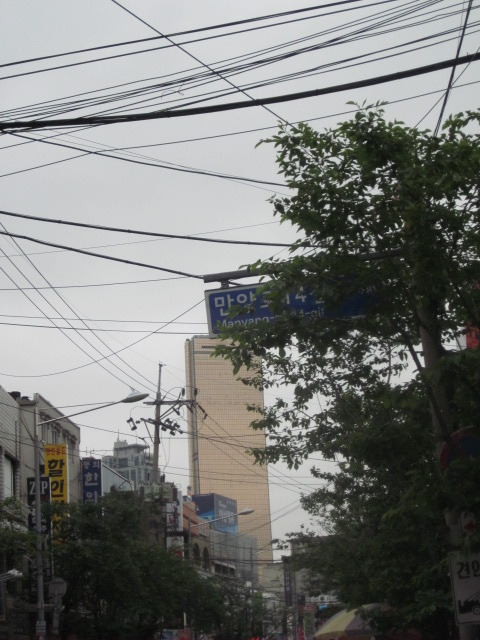 노량진 수산시장2.jpg