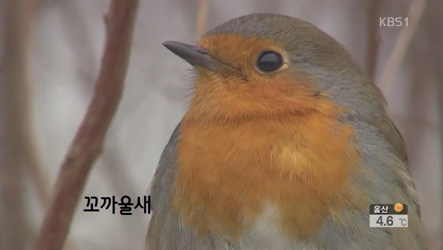 화면 캡처 2026-03-04 094457.jpg