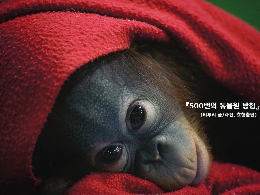 500번의 동물원 탐험(본문)_최종_page244_image.jpg