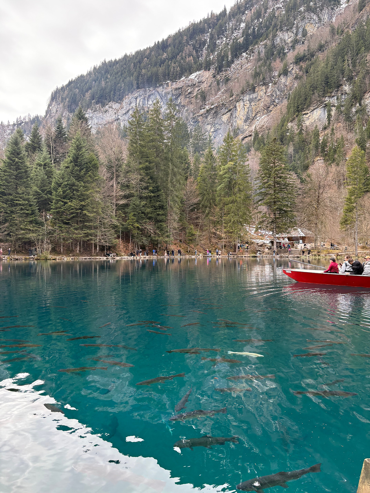 Blausee 03.jpg