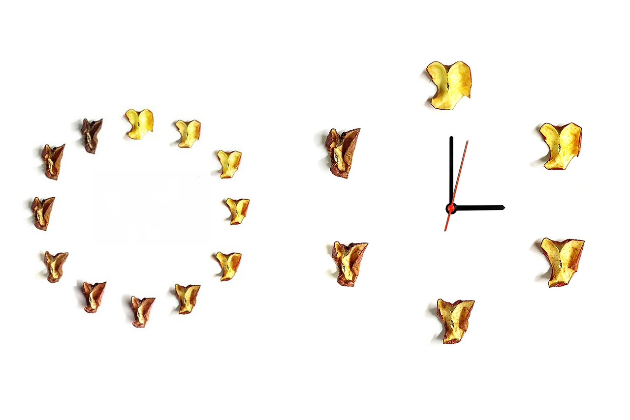 사진2) Apple Clock (사과를 15일간 촬영, 2006). 박마스터는 과거 어린 딸에게 긁어 먹이고 남은 사과의 갈변 과정을 사진으로 남겼는데 관점을 달리하면 음식쓰레기조차 시간이 담긴 예술로 변모시킬 수 있다 _ photo by 박기열.jpg